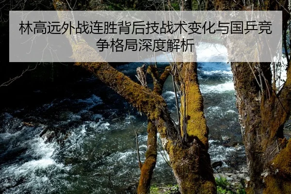 林高远外战连胜背后技战术变化与国乒竞争格局深度解析